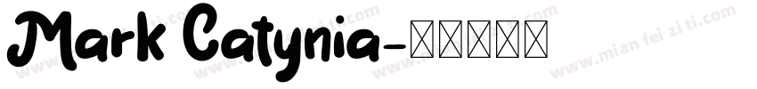 Mark Catynia字体转换